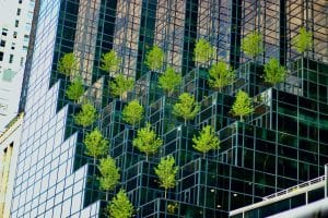 Nachhaltigkeit und Unternehmensfinanzierung: So überzeugen Mittelständler Banken und Investoren