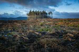 klimawandel kosten